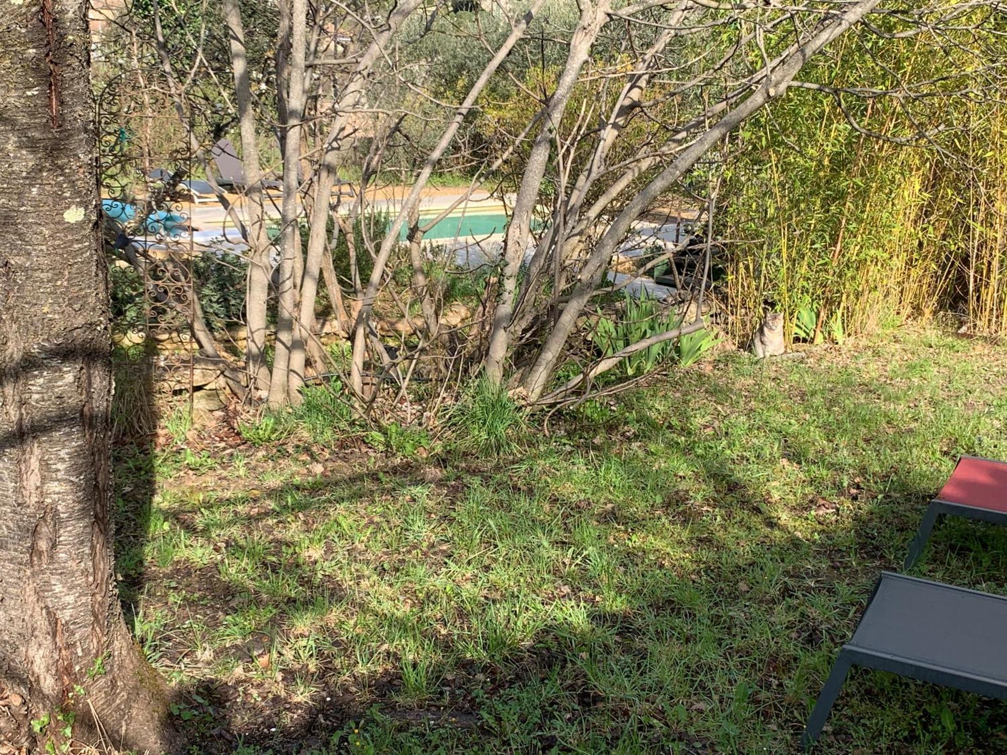 Charmante maisonnette indépendante à Goult en Luberon Extérieur photo